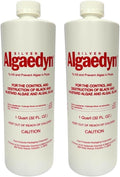 Silver Algaedyn Algae Remover Algaecide | Green and Mustard Algae Remover | Black Algae Remover | 32 oz. | 47-600 (2)