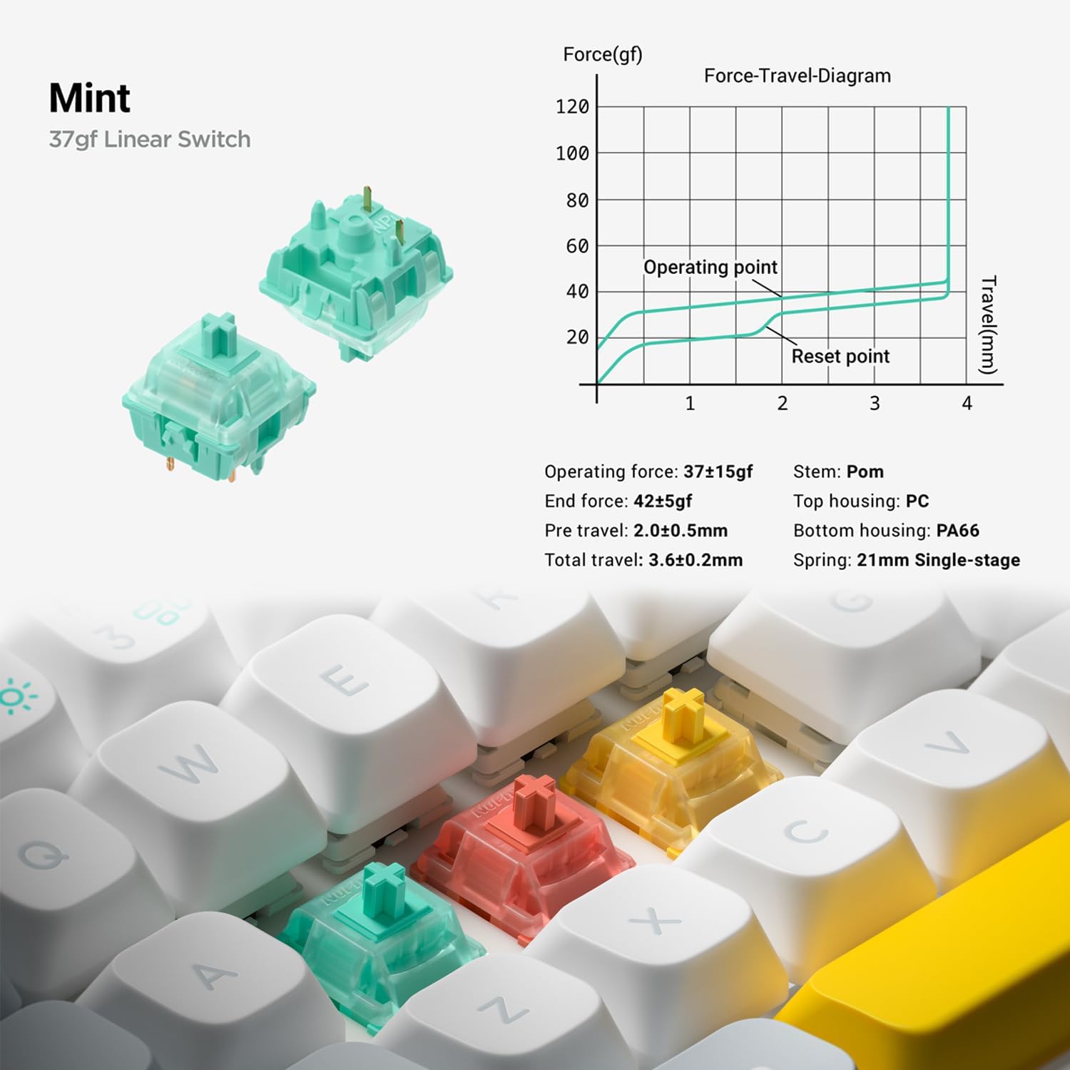 nuphy Halo65 V2 Wireless Mechanical Keyboard with PBT Keycaps, 65% Hot Swappable Custom Gaming Keyboard Compatible with QMK/VIA, RGB Backlit,Gasket Structure,BT5.0/USB-C/2.4GHz,Black-Mint Switches