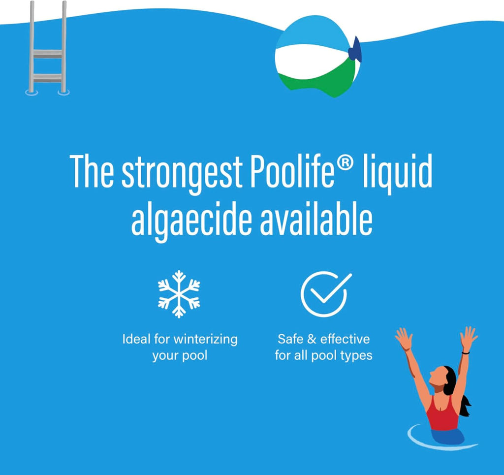 poolife Super Algae Bomb 60 (1 qt) (12 Pack)