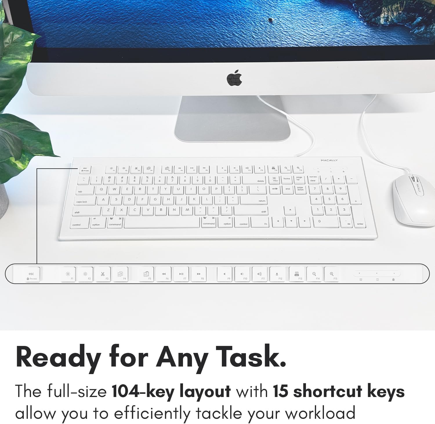 Macally 104 Key USB Wired Keyboard and Mouse Combo with Apple Shortcut Keys for Mac,iMac,MacBook,and Windows PC (MKEYECOMBO),White,(Pack of 10)