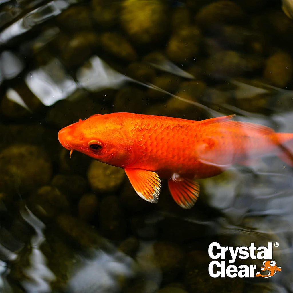 CrystalClear Algae D-Solv Pond Algae Control, Fast-Acting EPA Registered Algaecide, Use in Fountains & Outdoor Ponds Containing Koi & Other Fish, Treats 115,200 Gallons, 2.5 Gallons