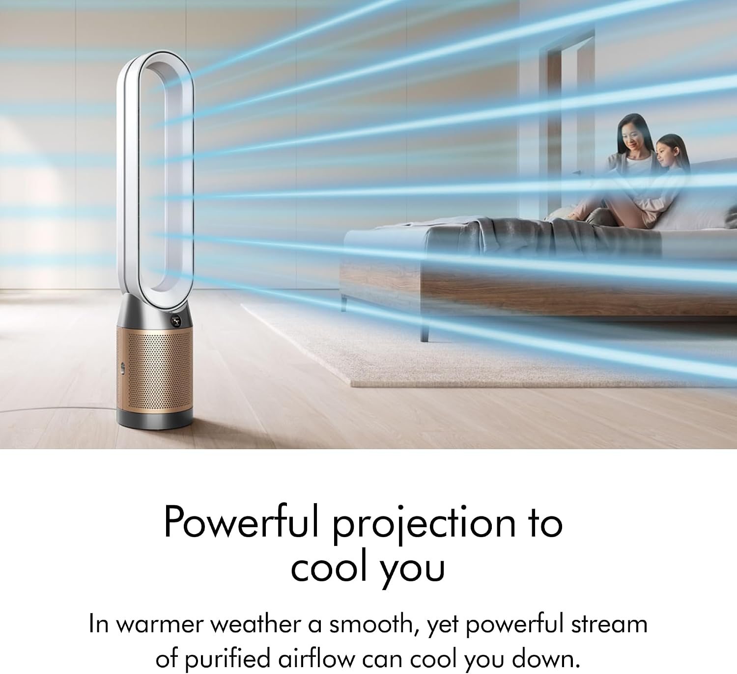 Dyson Purifier Cool PC2 De-NOx