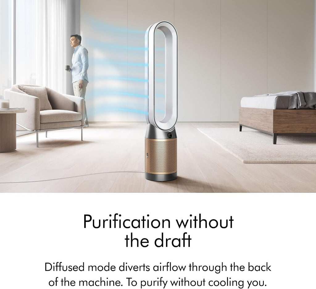 Dyson Purifier Cool PC2 De-NOx