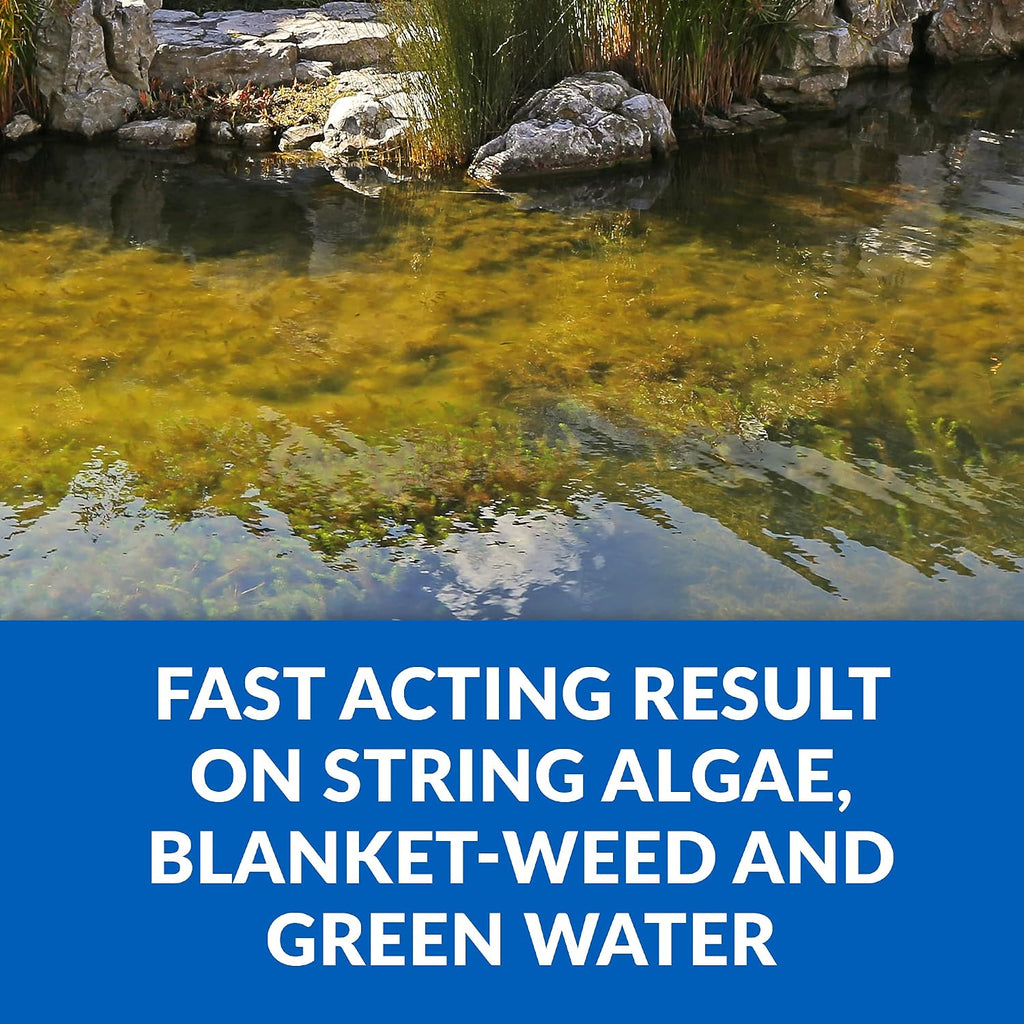 CrystalClear Algae D-Solv Pond Algae Control, Fast-Acting EPA Registered Algaecide, Use in Fountains & Outdoor Ponds Containing Koi & Other Fish, Treats 115,200 Gallons, 2.5 Gallons