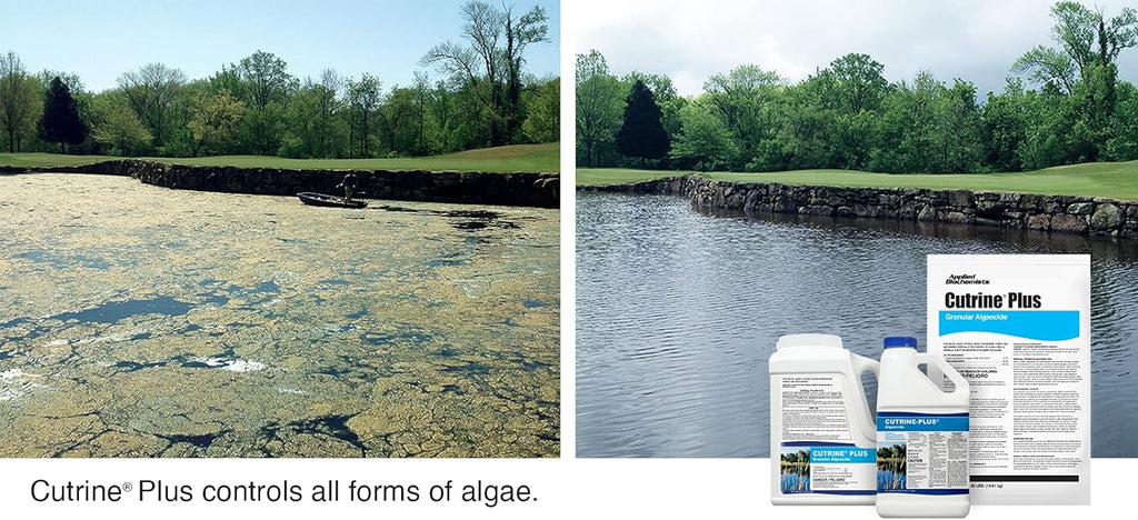 Cutrine-Plus Granulated Algaecide - 30 lbs. Professional-Grade Algae Killer for Lakes & Ponds, EPA Approved to Control All Types of Algae (Planktonic, Filamentous, and Chara)