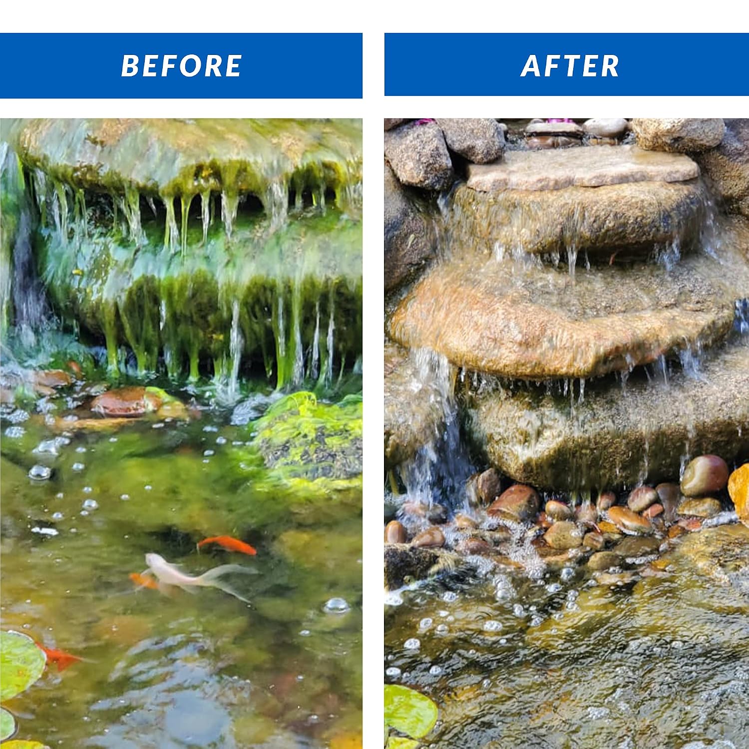 CrystalClear Algae D-Solv Pond Algae Control, Fast-Acting EPA Registered Algaecide, Use in Fountains & Outdoor Ponds Containing Koi & Other Fish, Treats 115,200 Gallons, 2.5 Gallons