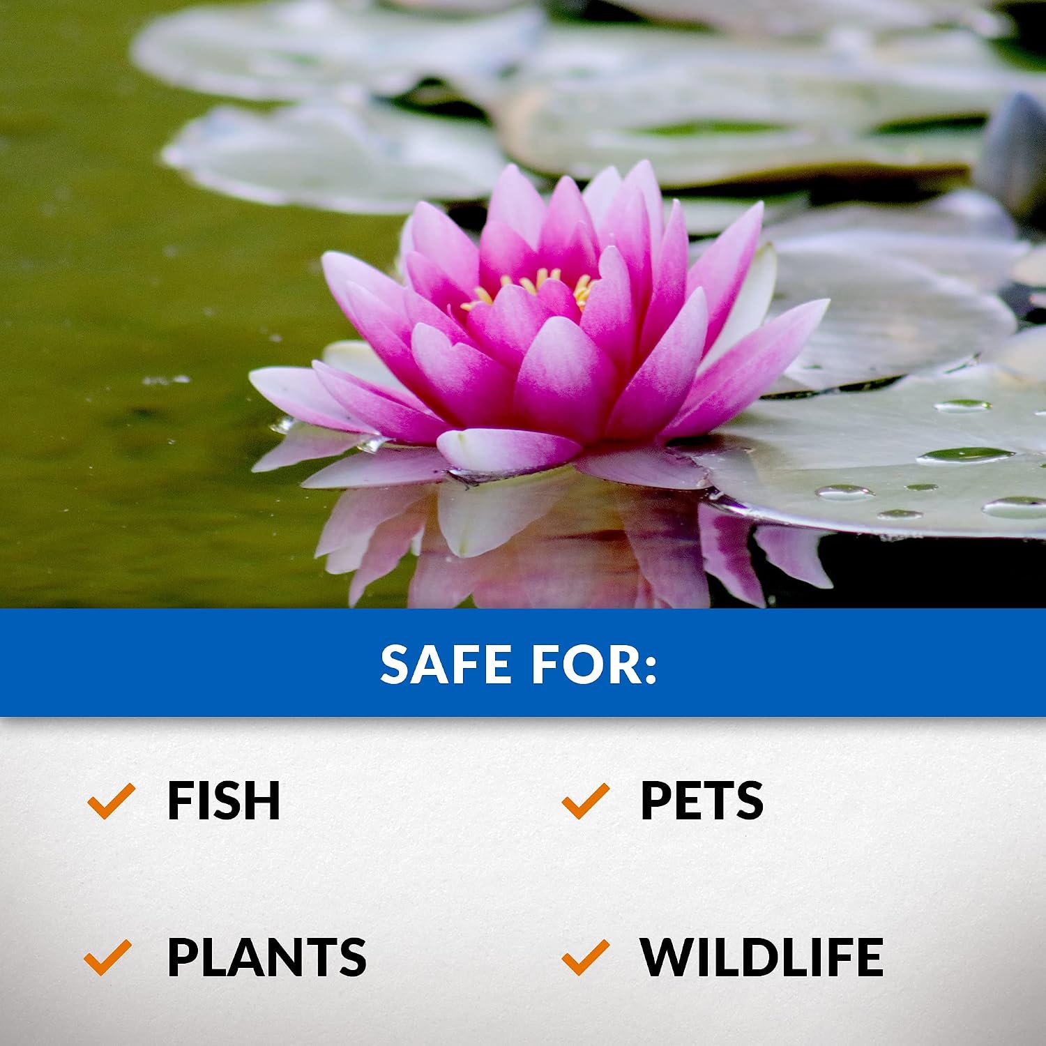 CrystalClear Algae D-Solv Pond Algae Control, Fast-Acting EPA Registered Algaecide, Use in Fountains & Outdoor Ponds Containing Koi & Other Fish, Treats 115,200 Gallons, 2.5 Gallons
