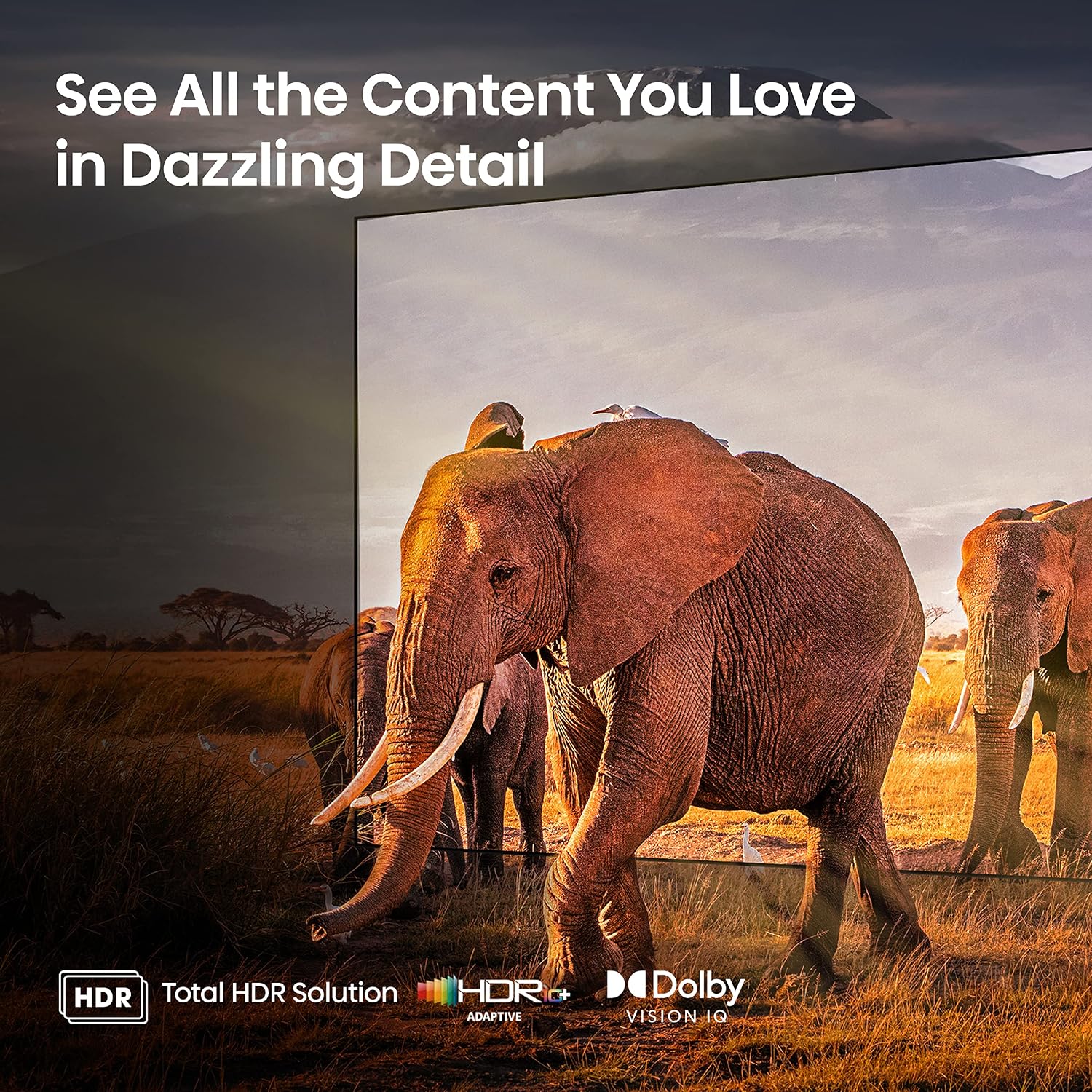 Hisense 55-Inch Class U6 Series Mini-LED ULED 4K UHD Google Smart TV (55U6K) - QLED, Full Array Local Dimming, Dolby Vision IQ，HDR 10+, VRR Game Mode Plus, 240 Motion Rate, Alexa Compatibility